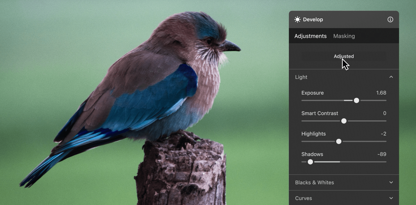 Luminar Neo – простий у використанні фоторедактор | Програмне забезпечення для Mac і ПК(7)