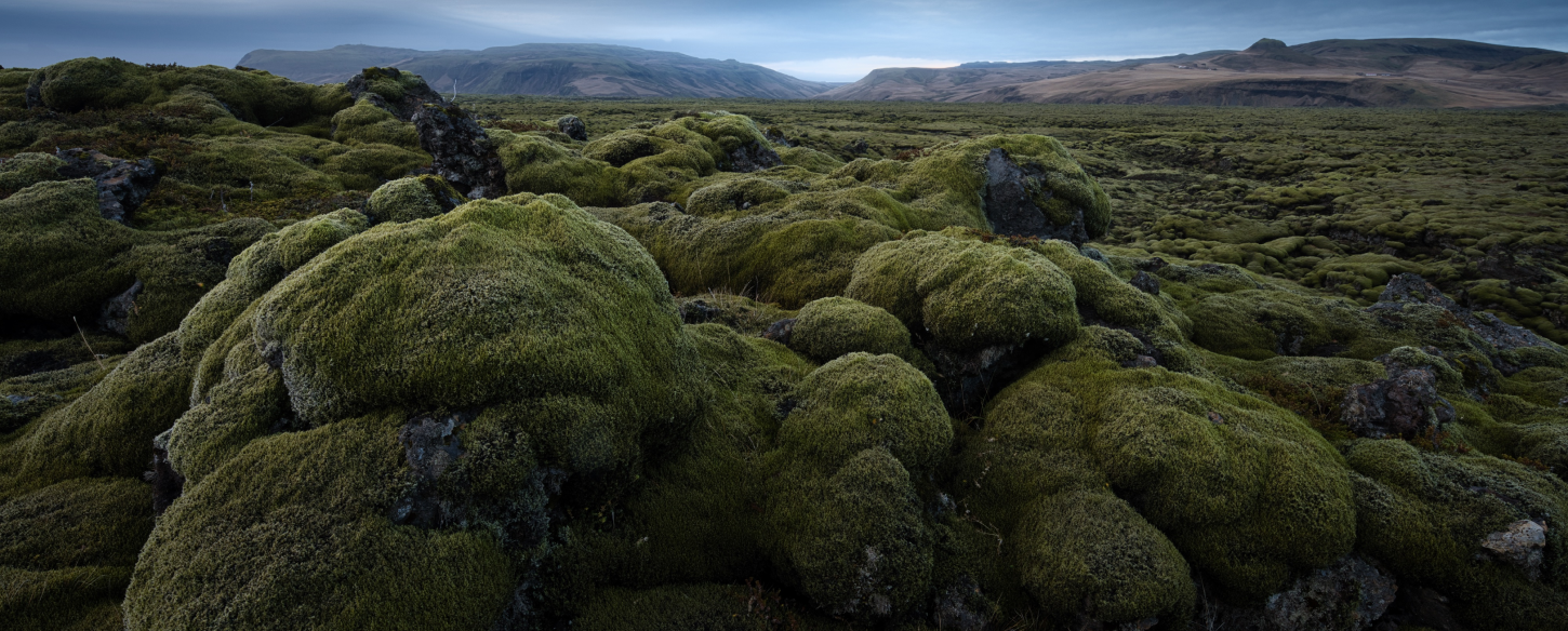 Photo Editor For Beginners | Luminar Neo(39)