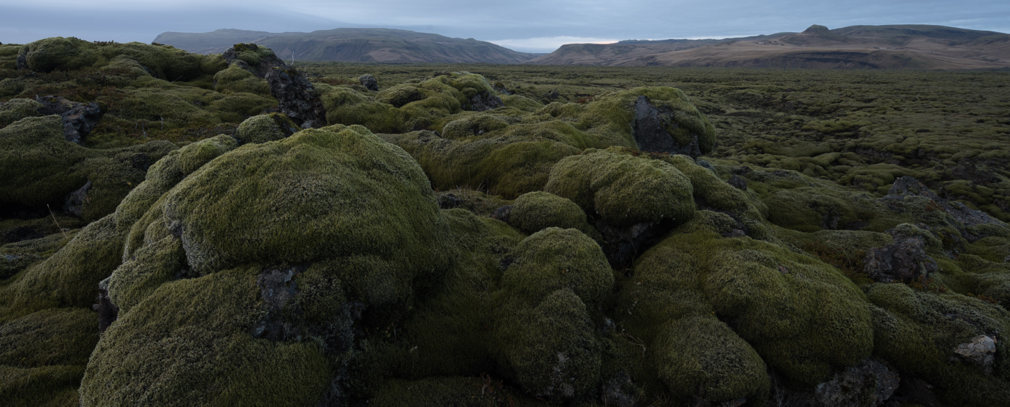 Photo Editor For Beginners | Luminar Neo(38)