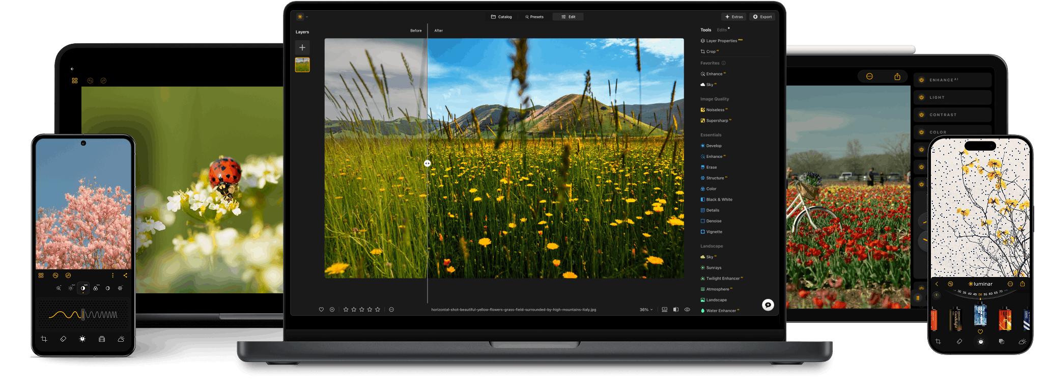 Consigue ahora el Luminar Ecosystem(9)