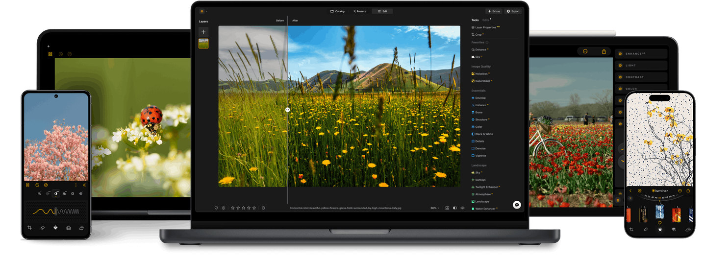 Luminar Neo on desktop and mobile devices