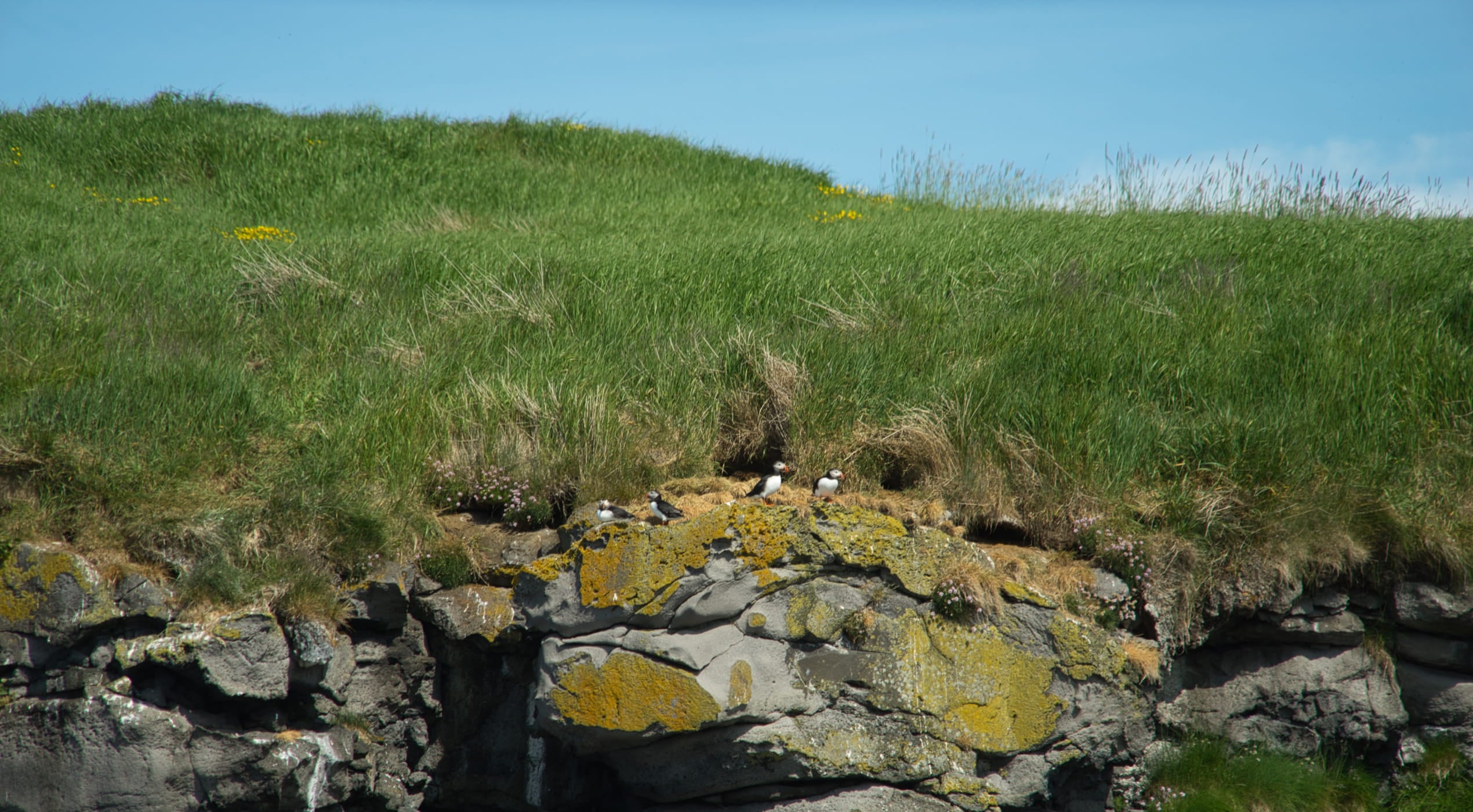 Unblur Image: Remove Blur From Photo