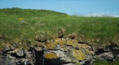 Unblur Image: Remove Blur From Photo(5)