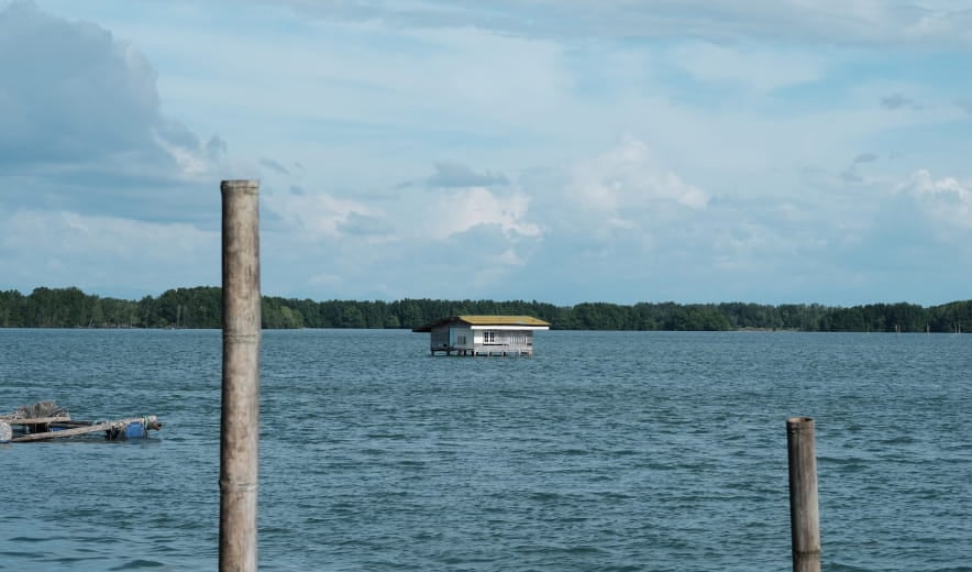 Unblur Image: Remove Blur From Photo(187)