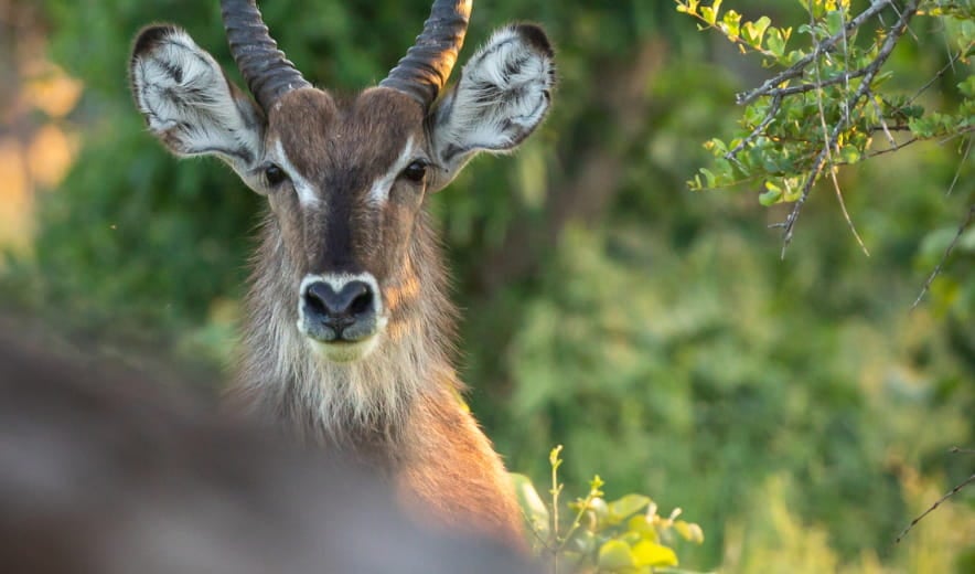 Unblur Image: Remove Blur From Photo(192)