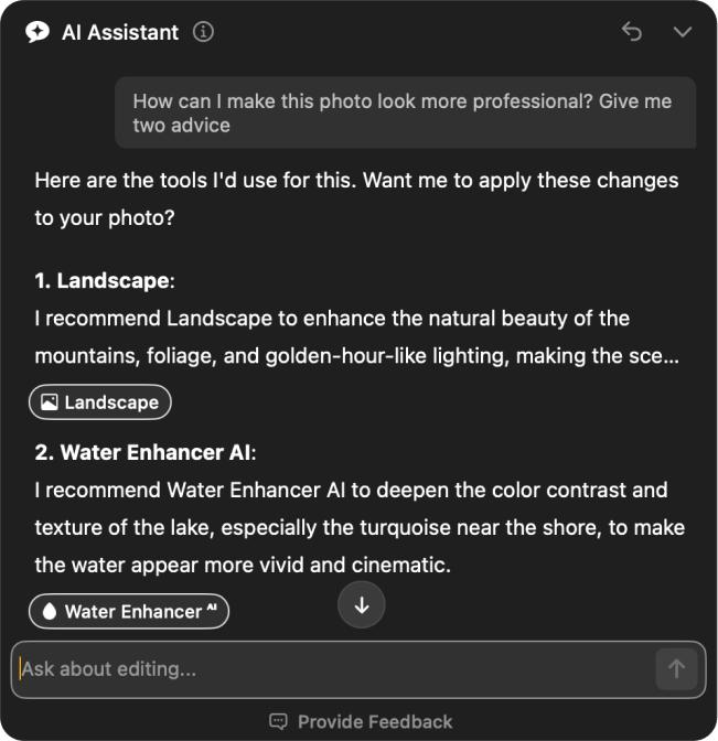 AI Assistant panel in Luminar