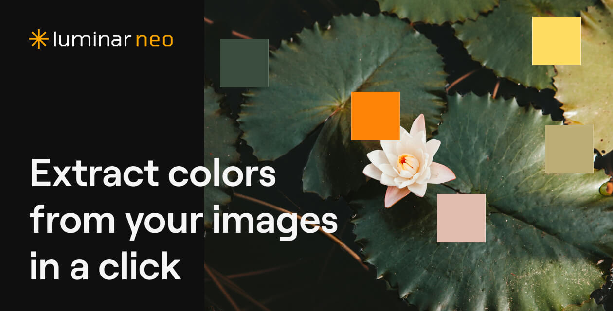 Color Palette Generator: Create Color Palette from Image