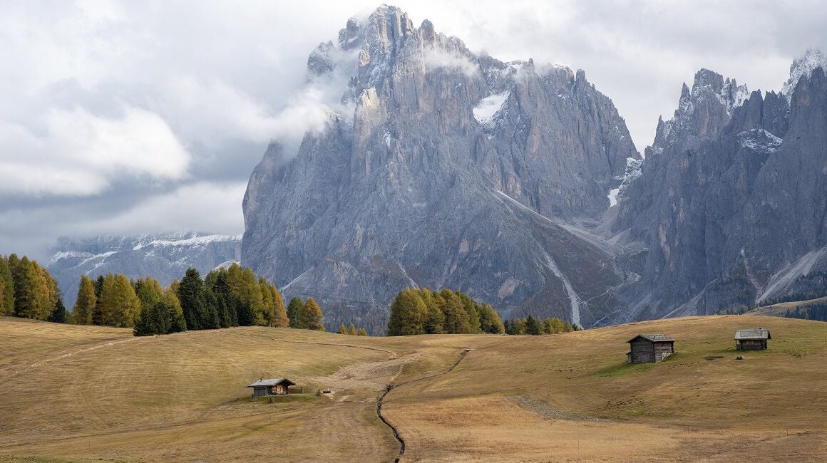 Preset con Pellicola Gratuiti per Lightroom: Tutti Tuoi da Scaricare(12)