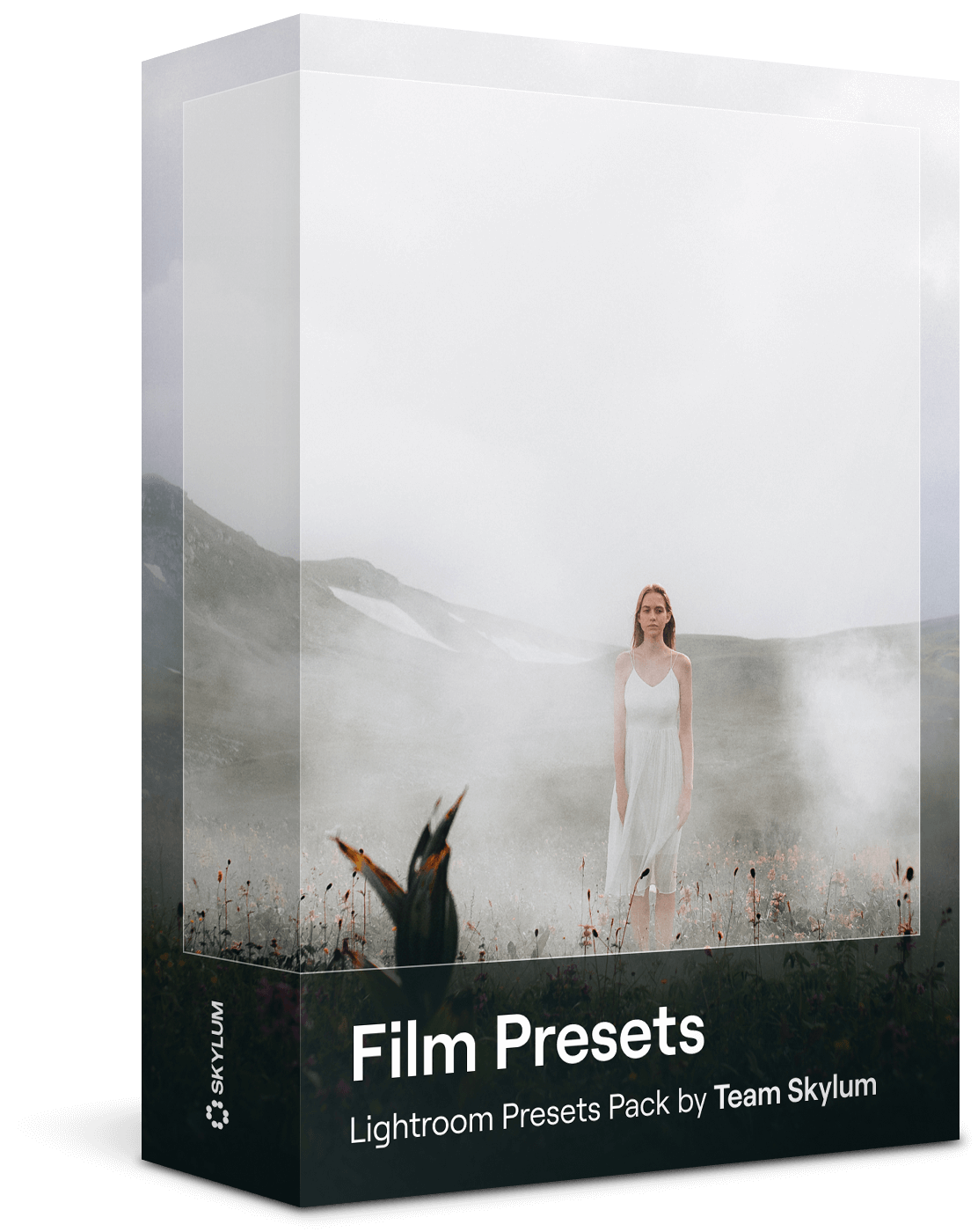 Preset con Pellicola Gratuiti per Lightroom: Tutti Tuoi da Scaricare(14)