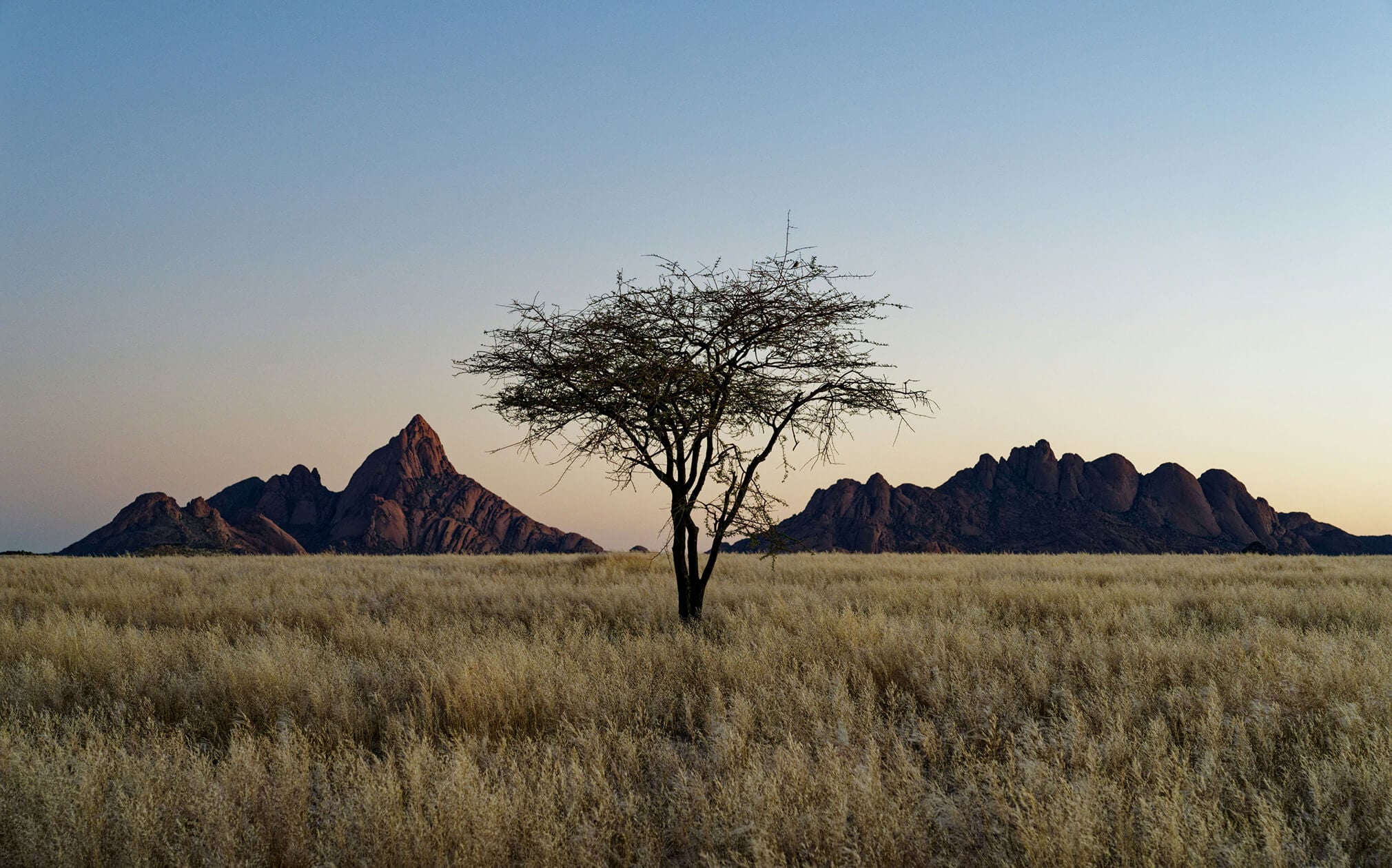 Sky Replacement Editor: Easy Sky Change & Editing with AI(6)