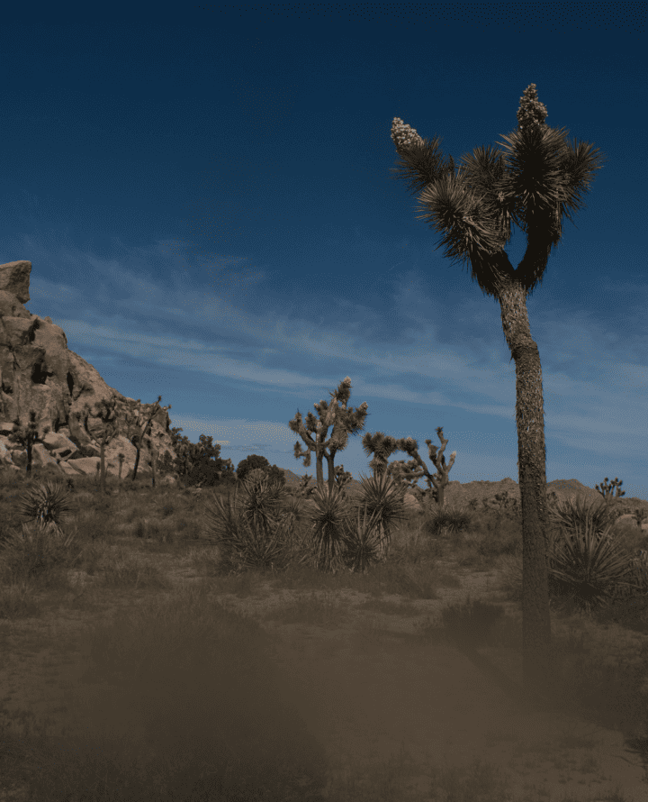 Luminar Mobile：选择您的照片编辑设备(26)