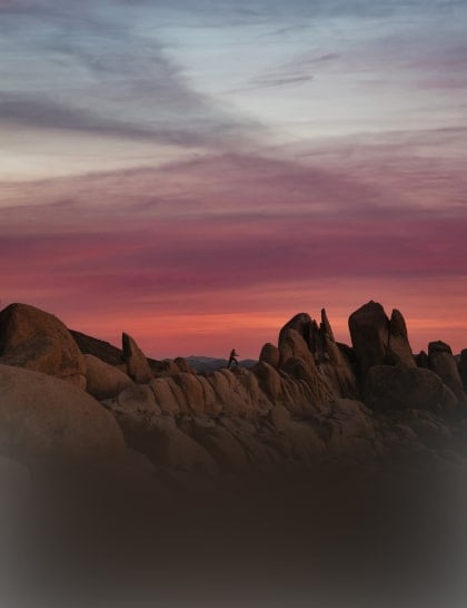 Luminar Mobile: scegli il tuo dispositivo per il foto editing(36)