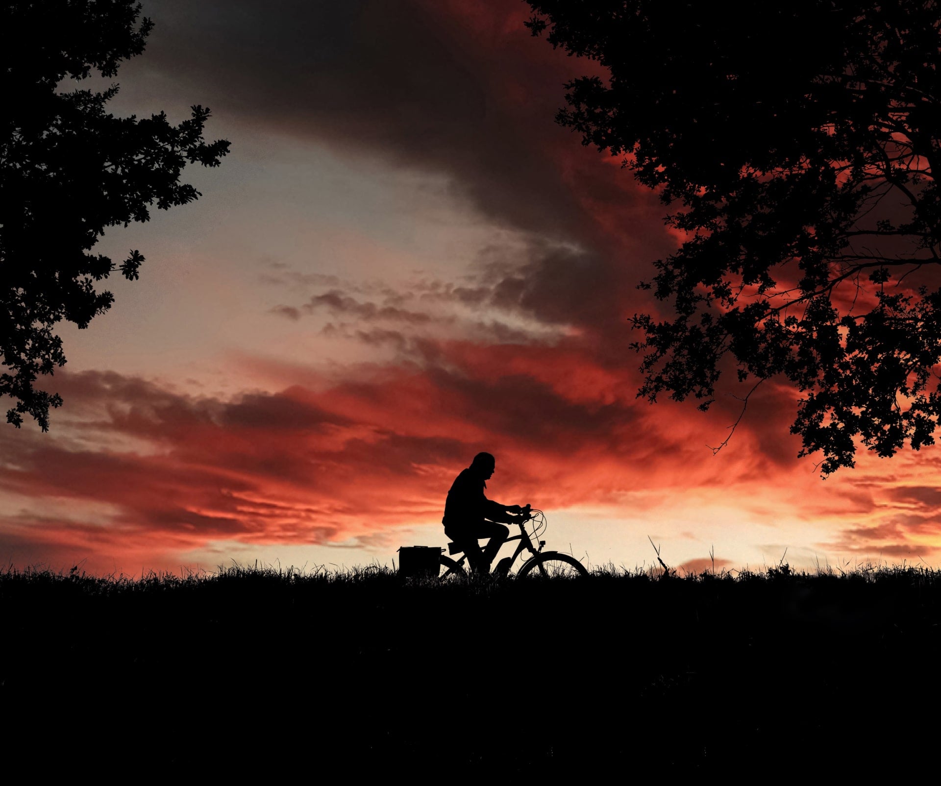 Luminar Mobile: scegli il tuo dispositivo per il foto editing(12)