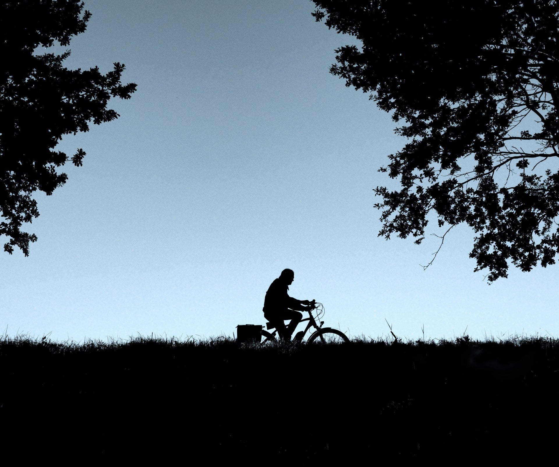 Luminar Mobile: scegli il tuo dispositivo per il foto editing(11)