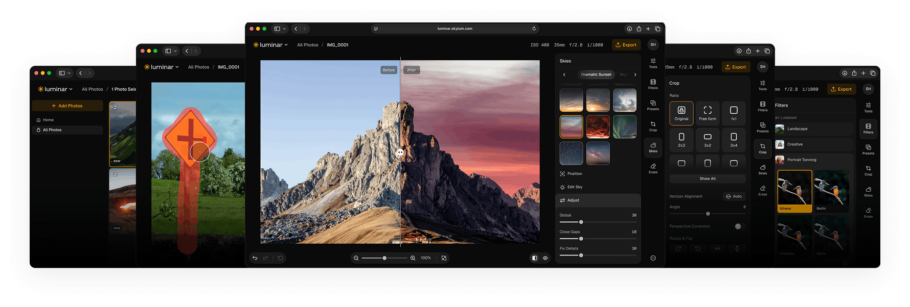 Luminar on Web