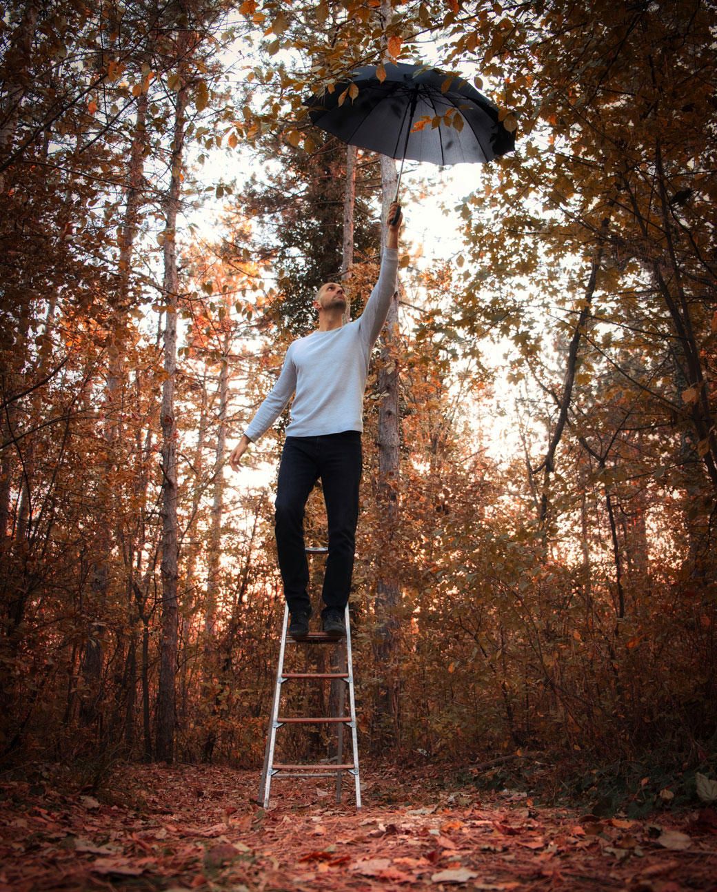 Luminar-Fotobewerking